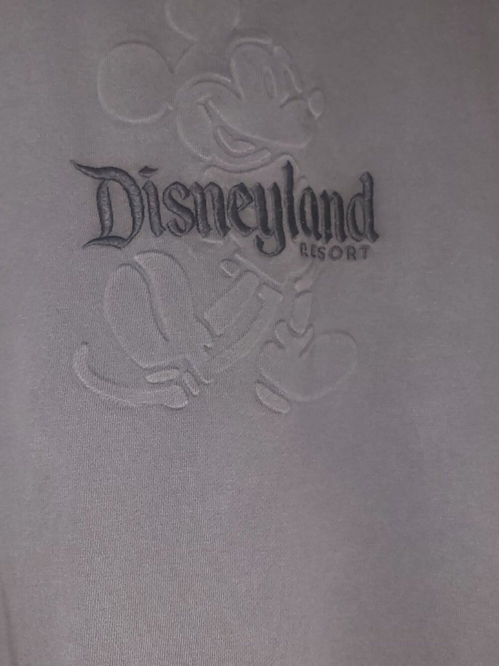 Mickey Mouse Embossed Walt Disney World Sweatshirt XS